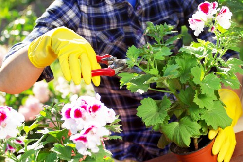Gardening services in Mottingham for a tidy residential garden