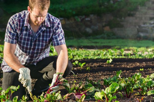 Illustration of accessible garden services in Mottingham