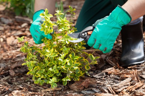 Fair resolution steps in a gardening complaints process