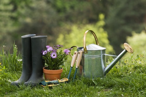 Healthy landscaped garden maintained by Mottingham gardeners