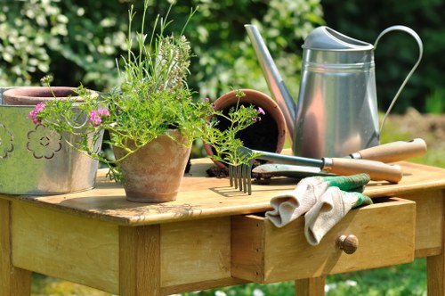 Professional garden maintenance work in Mottingham on hedges and planting beds
