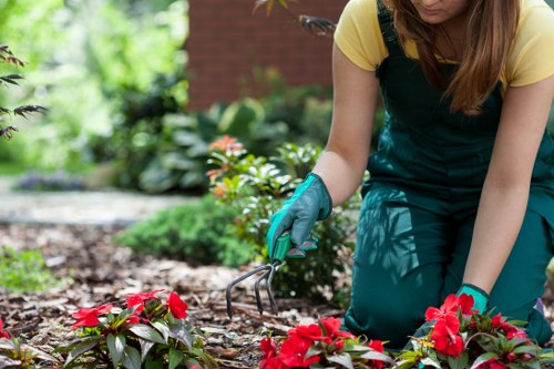 Landscaping in Mottingham with a neatly designed garden and patio