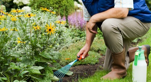 Seasonal garden care and planting in a Mottingham outdoor space