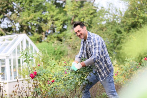 Local gardener carrying out lawn and hedge maintenance in Mottingham