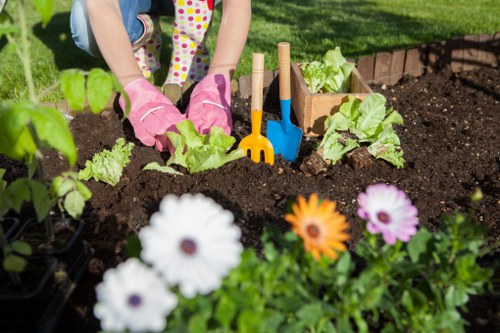 Seasonal garden maintenance in Mottingham with mature greenery