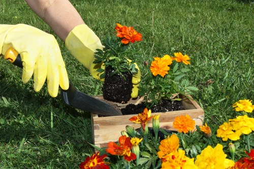 Professional garden maintenance for a well-kept Mottingham property
