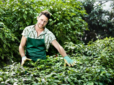 Accessibility-focused gardening website layout for Mottingham