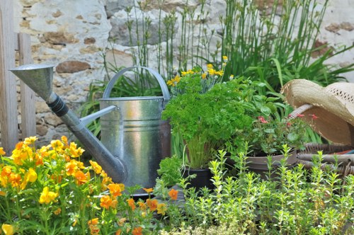 Professional gardeners in Mottingham following a risk assessment process