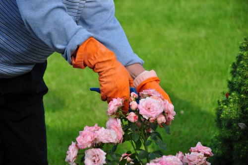 Soft landscaping and planting design for a Mottingham property