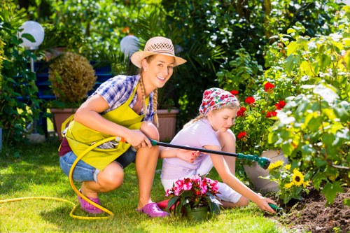 Seasonal lawn maintenance for a Mottingham home