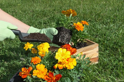 Insured Mottingham gardener assessing outdoor work conditions