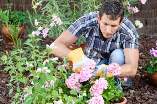 Professional mowing for a tidy Mottingham garden lawn