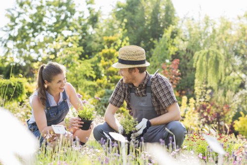 Charity reuse donations from garden clearance work