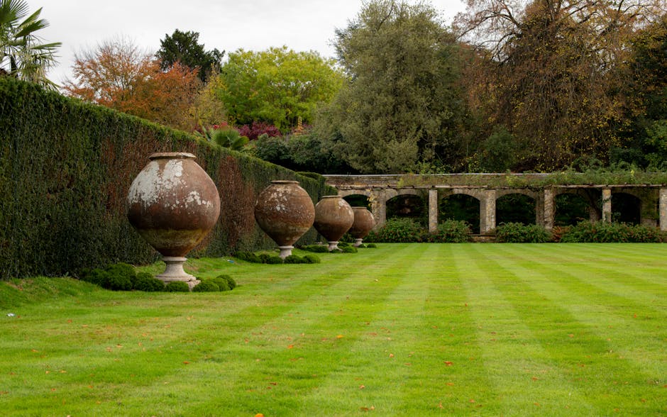 A neatly maintained garden features a lush, green lawn with evenly mowed grass that displays subtle parallel stripes, bordered by a tall, dense hedge on the left side. Four large, aged terracotta plan