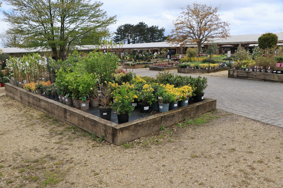 A spacious nursery garden at Mottingham Station, featuring multiple raised wooden beds filled with a variety of potted plants, including shrubs, flowering plants, and small trees. The plants display f